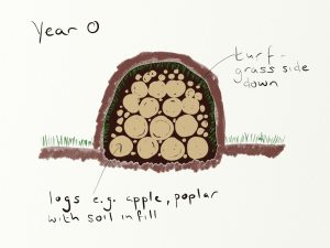 Hugelkultur -another use for wood / wood trimmings.