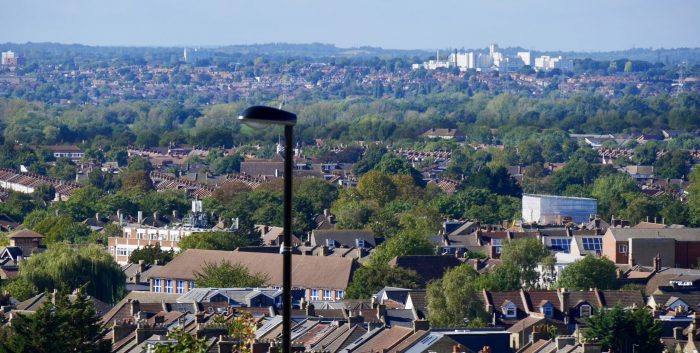 trees of South London