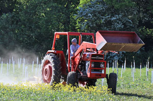 Sarah on the tractor