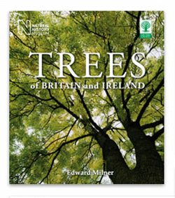 Trees of Britain and Ireland – a celebration of trees.  