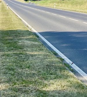 mowed roadside verge