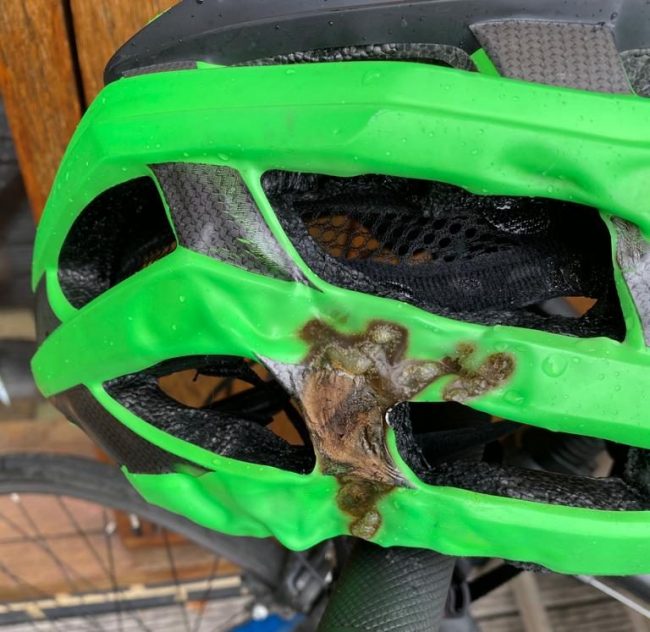 Melted bicycle helmet