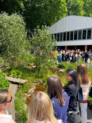 Rethinking the British countryside - more trees, fewer sheep?