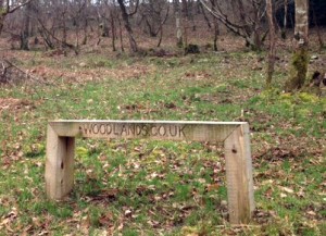 Benches in Woodlands - different seating designs