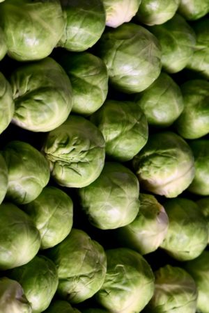 brussel sprouts ulleo on Pixabay
