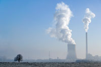 Climate Change, Carbon and Woods