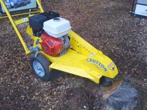 How do you remove stumps from a woodland path or track?