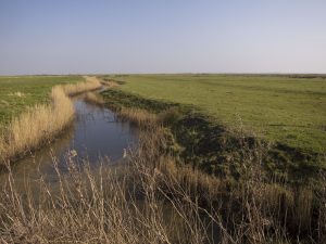 Wildlife corridors