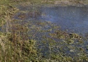 Lost or ghost ponds