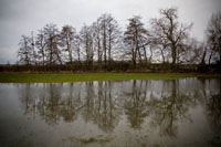 Woodlands and Water