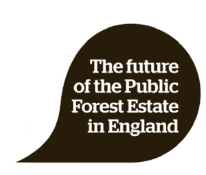 What does the Forestry Commission consultation really say?