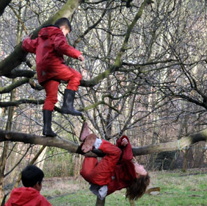 forest-school