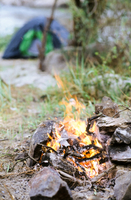 Forest Schools - Education and Woodlands