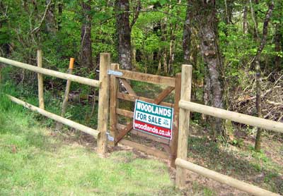 Woodland pedestrian gates (2)