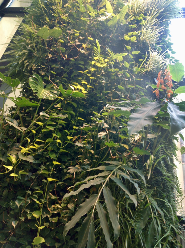 green wall