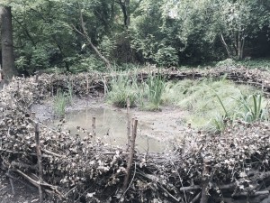 Dead hedging : wildlife friendly and people guiding.