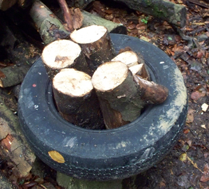 An old tyre, an aid to log splitting?