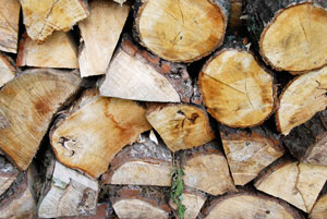 Firewood - the real challenge is moving the logs to where you need them