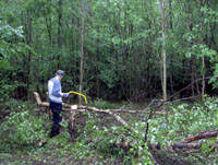 Discovering Long Wood - A year in the life of a small woodland - February