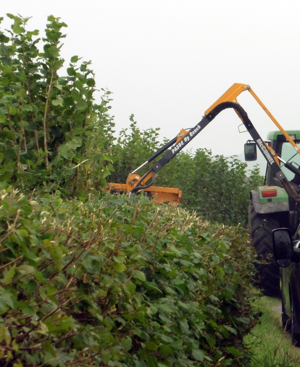 mechanical-hedge-flailing