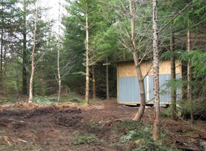 Sheds in Woodlands