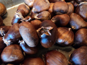 Making Sweet Chestnut Flour