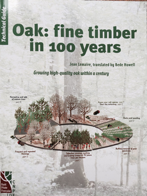 Growing fine Oak timber in 100 years in your woodland