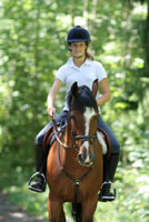 Off-Road Horse Riding Through Woodlands