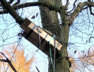 Home to roost  : an owl box.