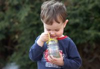 Pond and Stream Dipping - Underwater Minibeasts