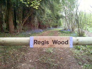 Owning Regis Wood