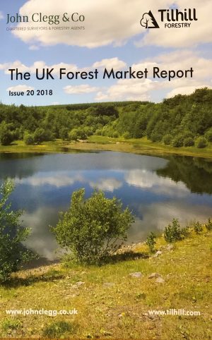 UK Forest Market Report - timber and forestry prices on the increase