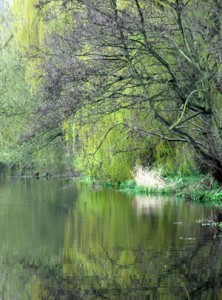 "The Fight for Beauty" - Fiona Reynolds' book on the British countryside