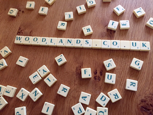 Scrabble blog : Part 2 letters I – Q by Bella and Stuart.