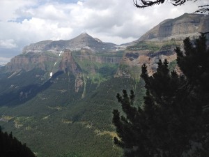 Spanish forestry and woodland management in Spain