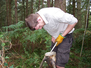 Having a stag party in a woodland – making spoons