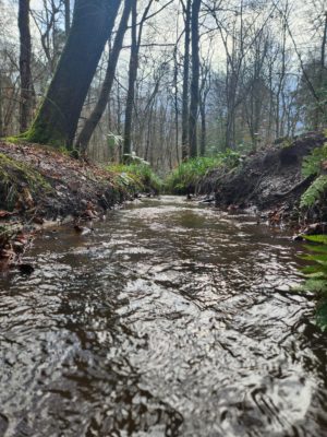 Not woodlands, but waterways and highways.
