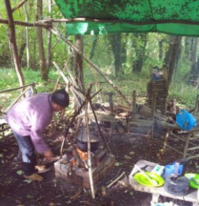 Social Forestry in Glede Wood