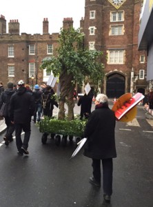 Portable woodlands - trees on the move!