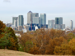 trees-in-city