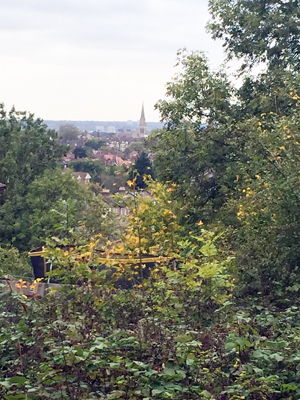 Unigate Wood - part of London's green lung