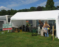 Festival of the Tree 2008, Westonbirt Arboretum