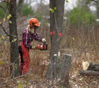 Men Only – Are we excluding women from UK woodlands?