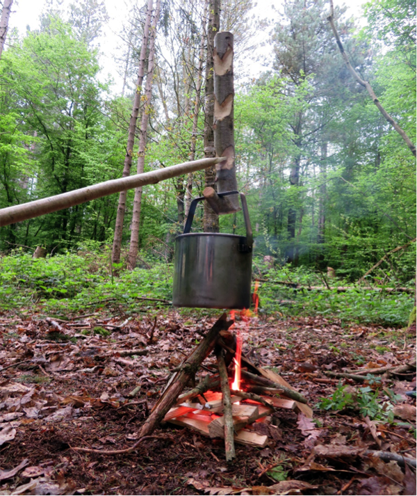 Making walking sticks – from stems picked out of the woodlands