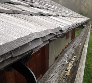 Wooden gutters, shingles and downpipes