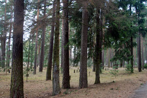 Woodland burials on a grand scale