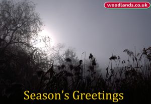 Season's Greetings